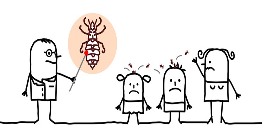 La Rentrée Des Classes, C’est Aussi La Rentrée Des Poux…