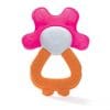 DODIE ANNEAU DENT REFRIGERE 2EN1 ROSE/ORANGE