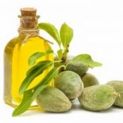 RACINE VITA HUILE D&rsquo;AMANDES AMÈRES 1L