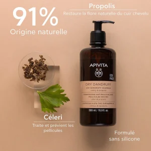 Apivita Pellicules Sèches Shampooing Anti-Pelliculaire 250 ml