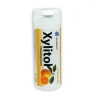 Xylitol Chewing GUM Fresh Fruit